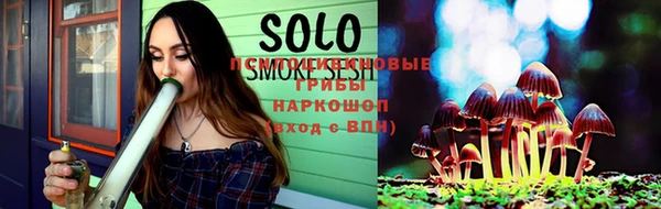 мдпв Каменка