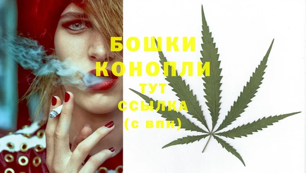 мет Каменск-Шахтинский