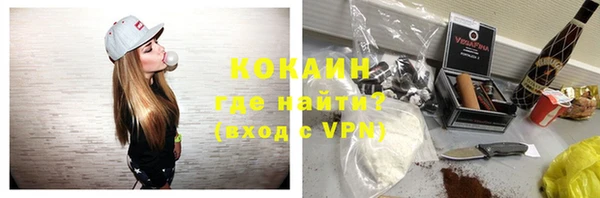 apvp Каменногорск