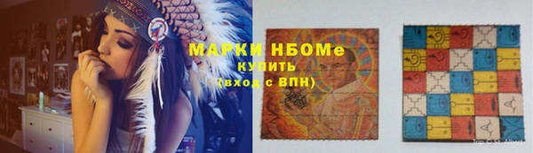 мдпв Каменка
