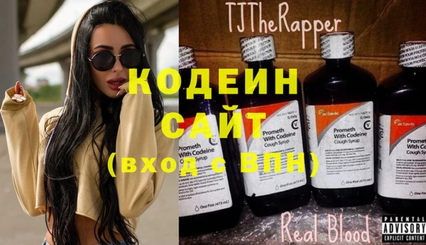мдпв Каменка