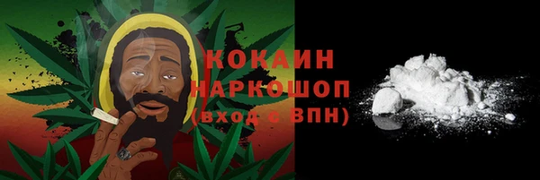 мдпв Каменка