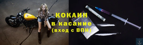 мдпв Каменка