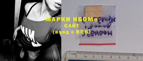 мдпв Каменка