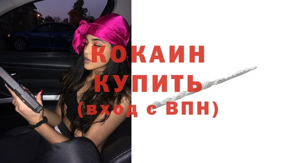 apvp Каменногорск