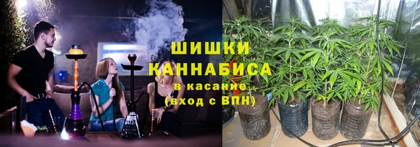 мдпв Каменка