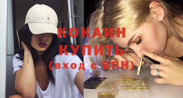 apvp Каменногорск