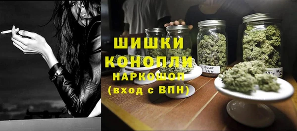 мдпв Каменка