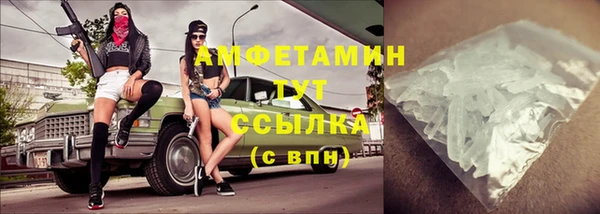 мдпв Каменка